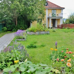 Landscape (inside and all around me) in Sigtuna Kulturgård