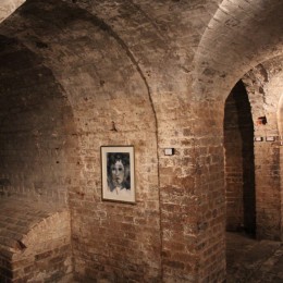 "557 Reasons" A Tribute to Life, The Crypt Gallery, London, UK