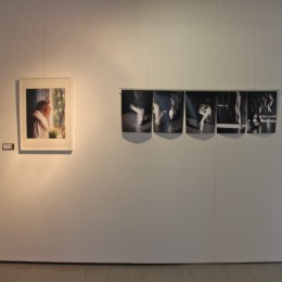 "Back to the Roots" at Kastellaanimaja Gallery, Tallinn