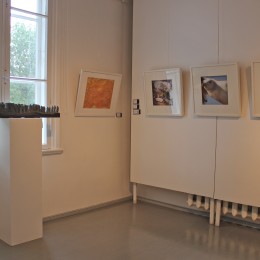 "Back to the Roots" at Kastellaanimaja Gallery, Tallinn