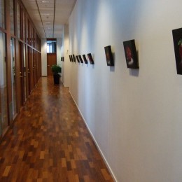 Lena Frykholm "Kolmekümne esimene korrus"- Isiknäitus " Kista Science Tower, Stockholm