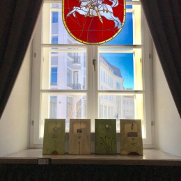Different but Together in Vilnius