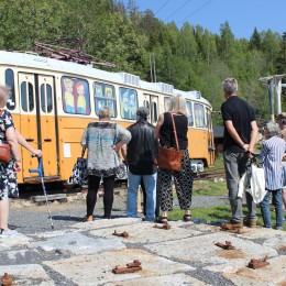 Trammi pardal Elisabet Linna Persson