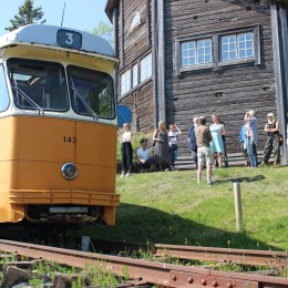 Trammi pardal Elisabet Linna Persson