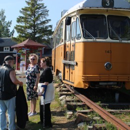 Trammi pardal Elisabet Linna Persson