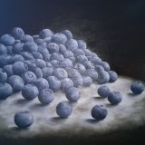 lena-frykholm-blueberries
