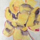 Kickie Högström-The yellow rose