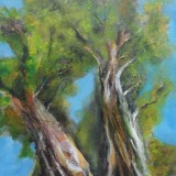monika-bostrom-the-old-trees